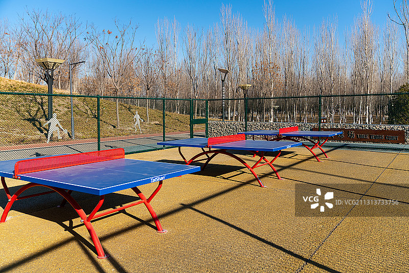 冬季午后无人的品乓球运动场图片素材