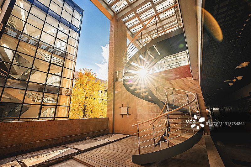 福大银杏与旋转楼梯图片素材
