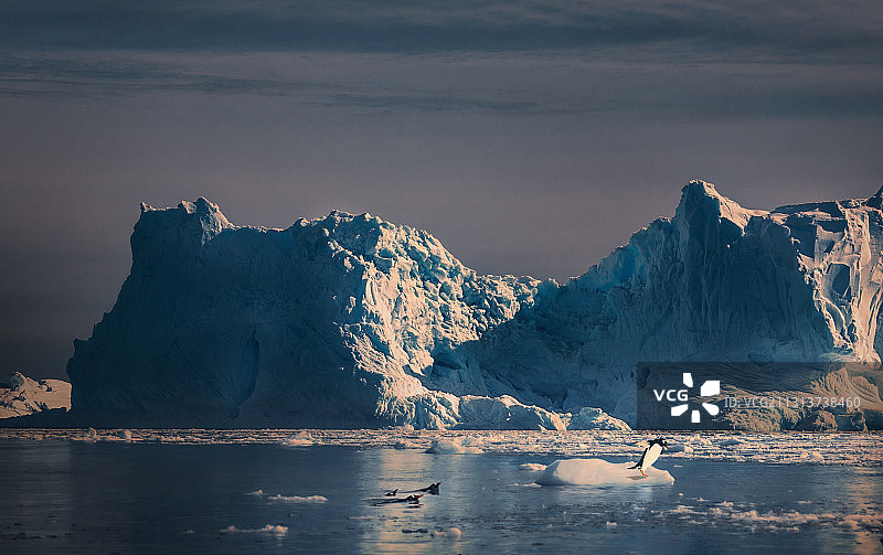 南极半岛掠影（7）图片素材