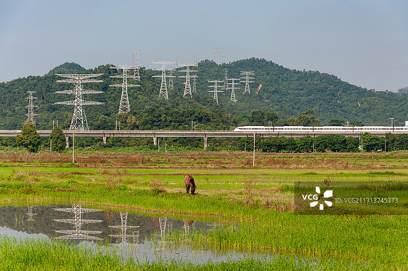 希望的田野，最美乡村崖口村图片素材
