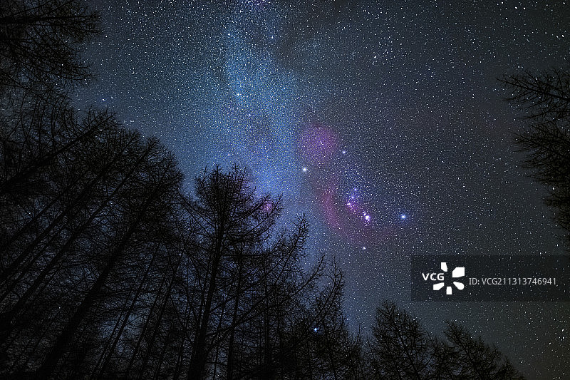 陕西秦岭情人谷冬季星空猎户座图片素材