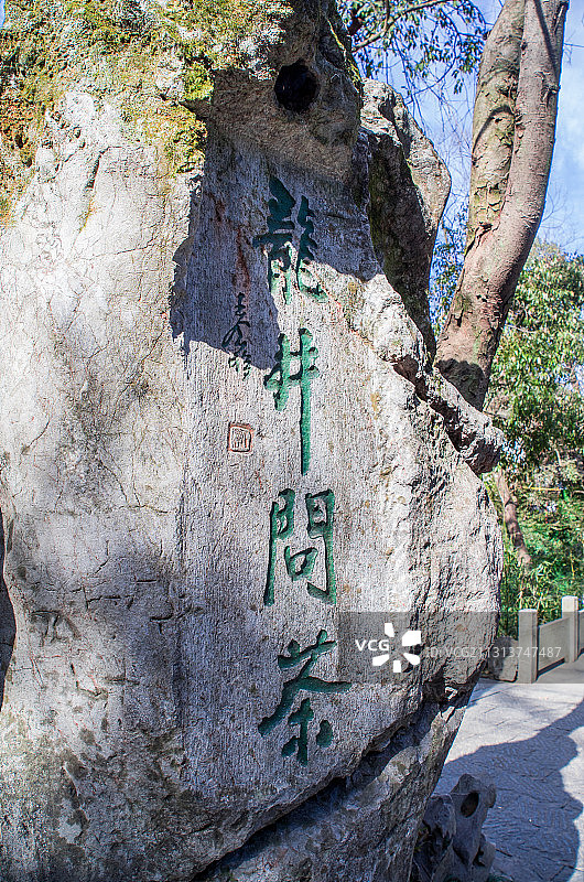 杭州龙井村老龙井图片素材