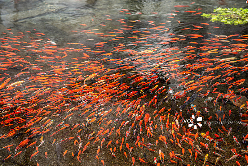 冬季的水磨沟（乌鲁木齐水磨沟，因温泉水流贯穿常常雾气蒙蒙)图片素材