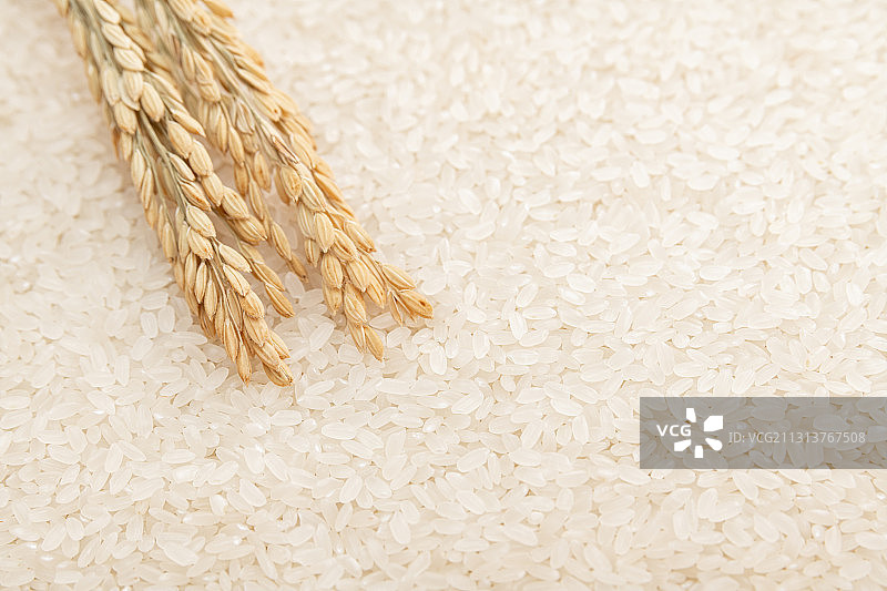 室内棚拍健康的有机生态大米图片素材