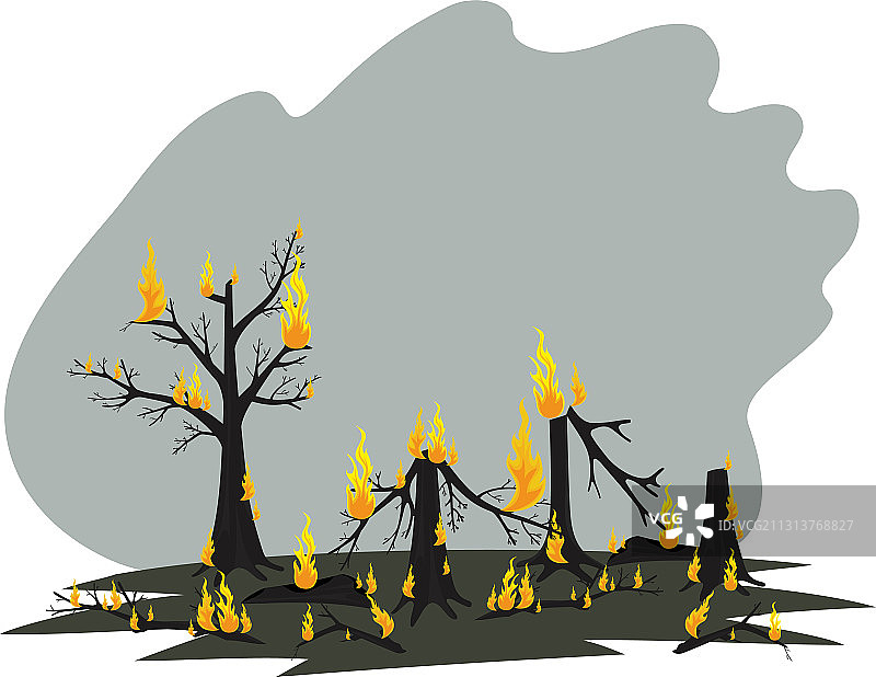 火灾中的树木图片素材