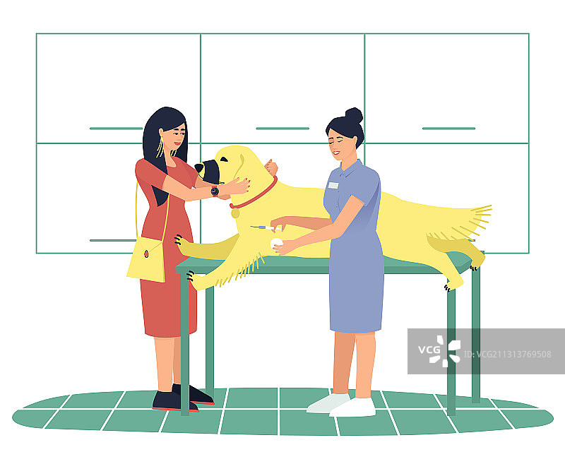 女人带着心爱的拉布拉多犬图片素材