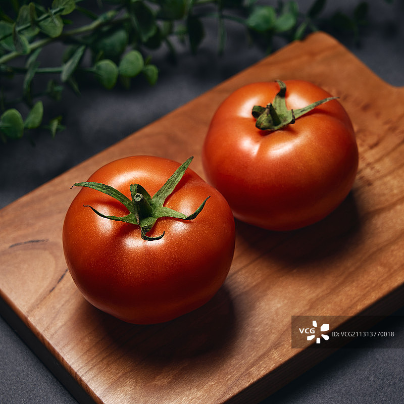 西红柿图片素材