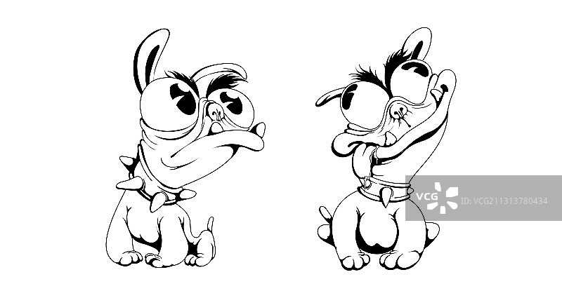 黑色的法国斗牛犬图片素材