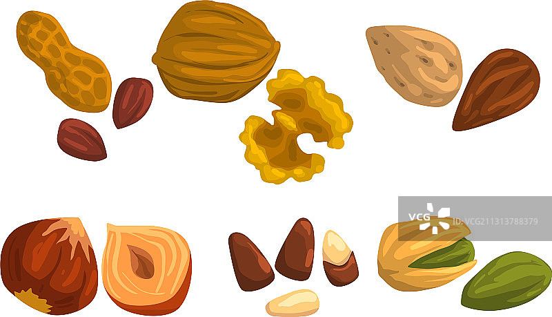不同种类的坚果套装：花生、核桃、杏仁图片素材