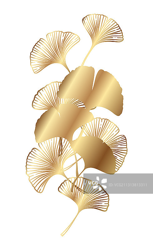 带叶子的银杏树枝图片素材