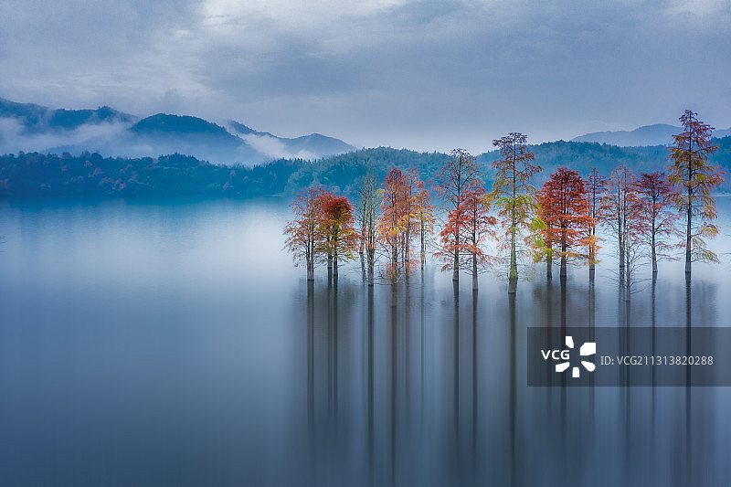 皖南秋色池杉湖水杉树出游航拍小资徽派马头墙奇墅湖西堤图片素材