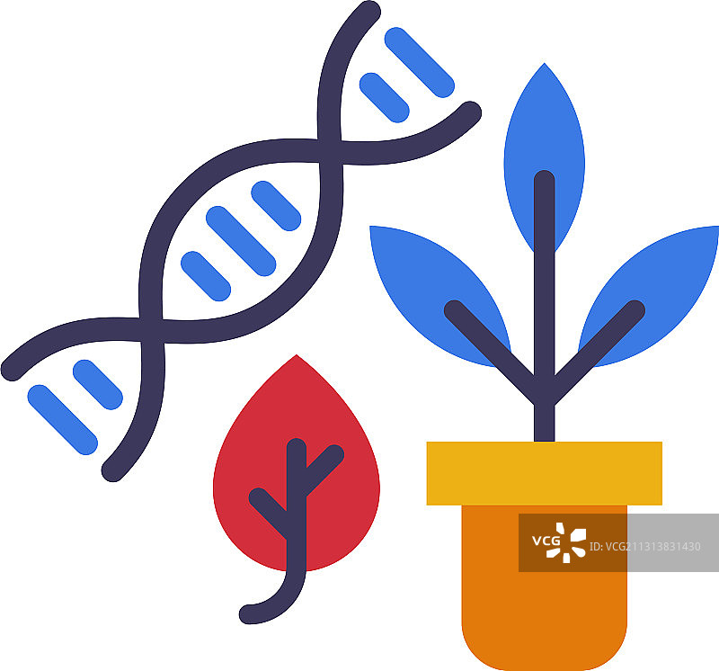 生物课概念：DNA结构和植物图片素材