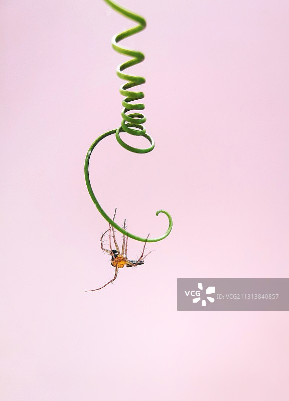 命悬一线图片素材