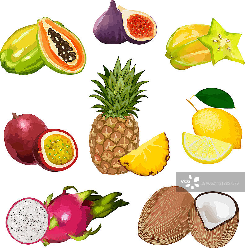 彩色热带水果组合图片素材