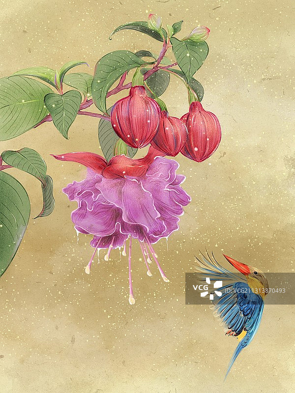 水彩·灯笼花·鸟图片素材