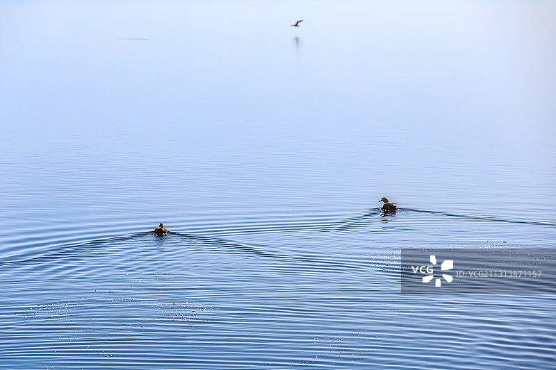 青海海西西台吉乃尔湖风光图片素材