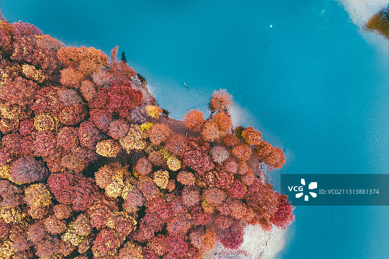 航拍中国浙江省宁波市余姚梁弄镇四明湖红杉林图片素材