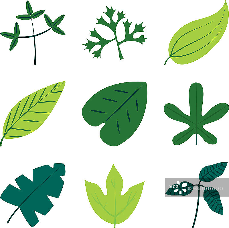 扁平风格的热带树叶图标设计图片素材