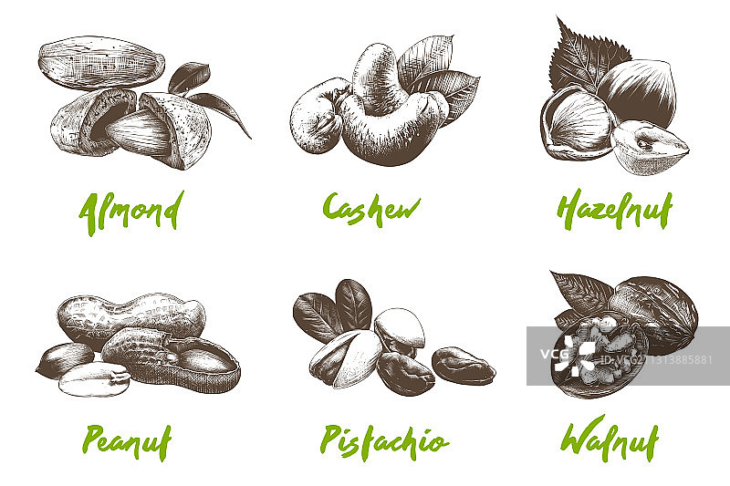雕刻风格有机坚果图片素材