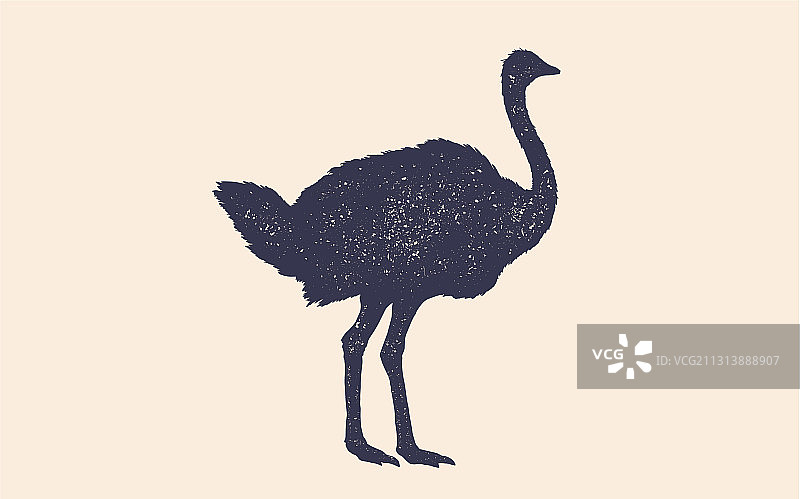 复古鸵鸟印花图片素材