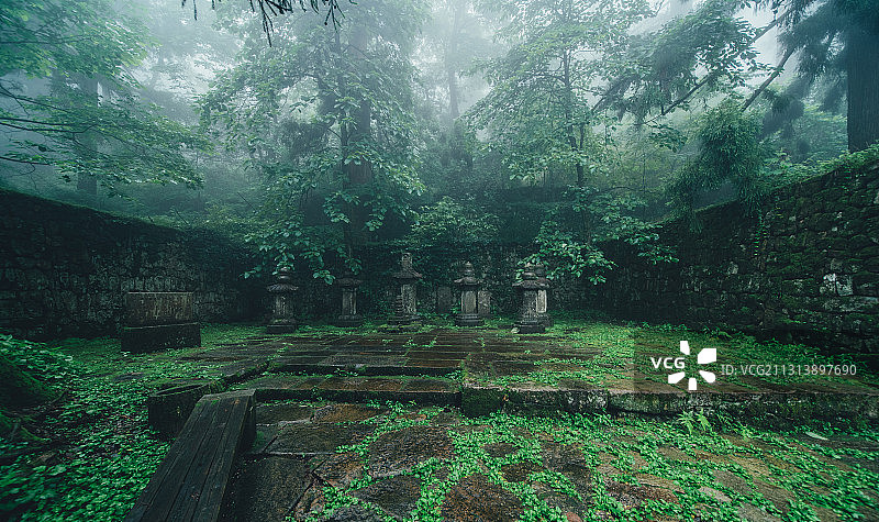 浙江省杭州市临安天目山，韦陀菩萨的道场，大树王国图片素材