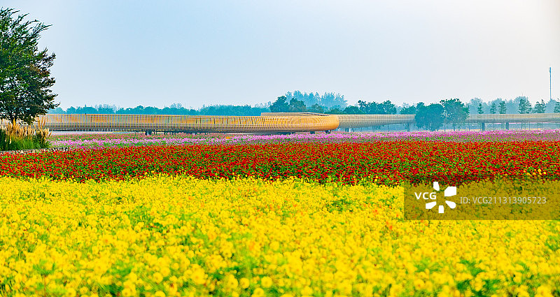 江苏省宿迁市三台山森林公园，坐拥江苏最大的一片花海，四季调色图片素材