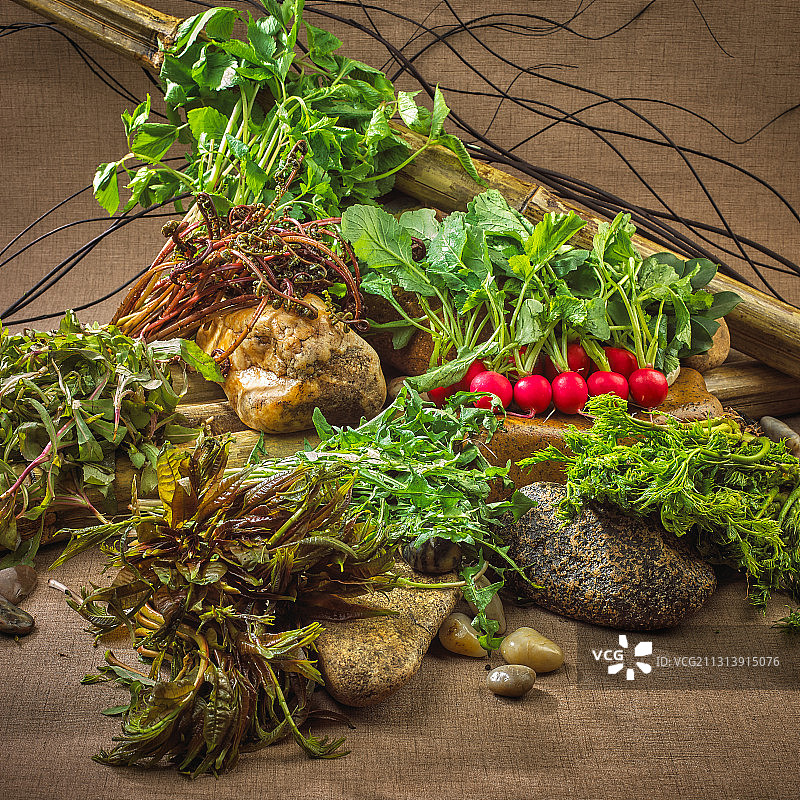 山野菜图片素材