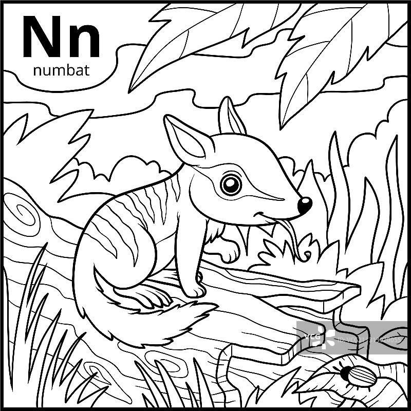 无色字母N袋食蚁兽涂色书图片素材