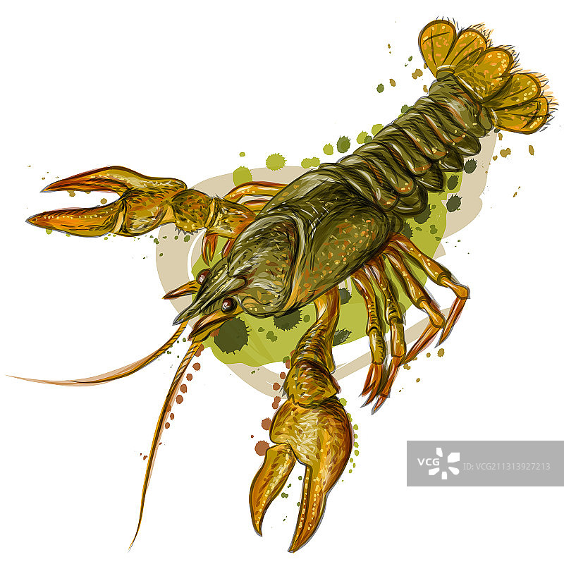 彩色写实河蟹图片素材