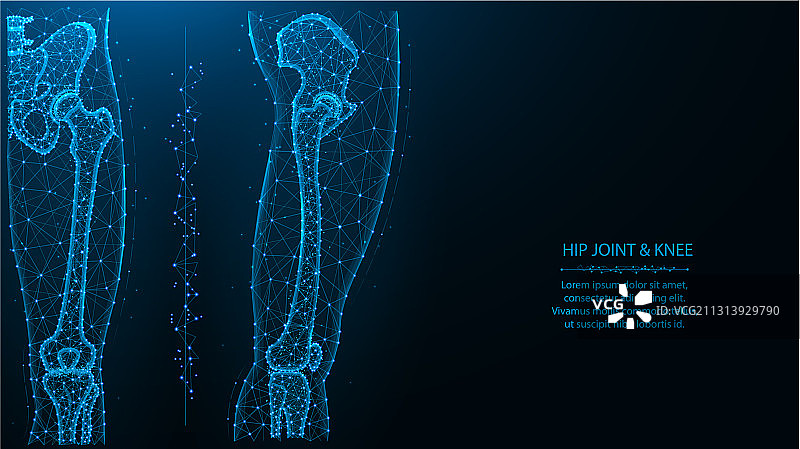 蓝色多边形髋膝关节图片素材