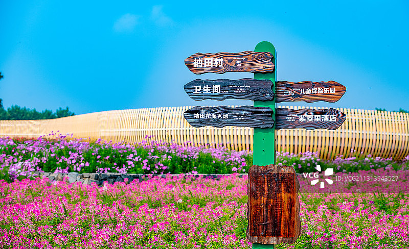 江苏省宿迁市三台山森林公园-衲田花海，空中俯瞰五彩大地图片素材