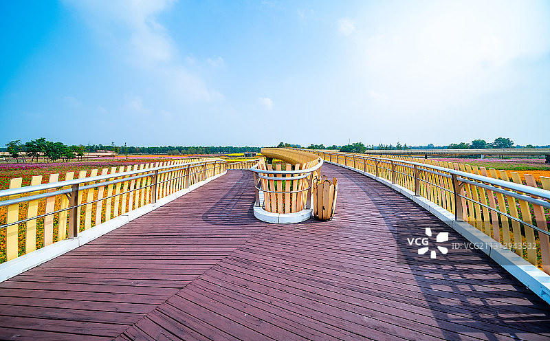 江苏省宿迁市三台山森林公园-衲田花海，空中俯瞰五彩大地图片素材