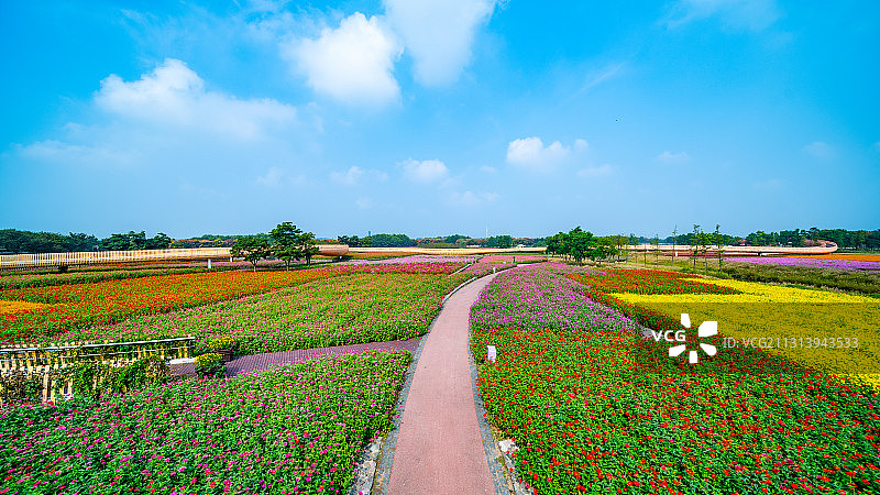 江苏省宿迁市三台山森林公园-衲田花海，空中俯瞰五彩大地图片素材