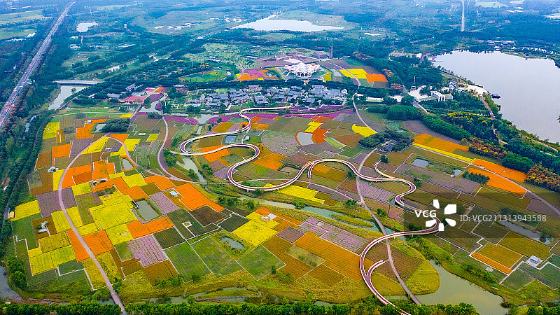 江苏省宿迁市三台山森林公园-衲田花海，空中俯瞰五彩大地图片素材
