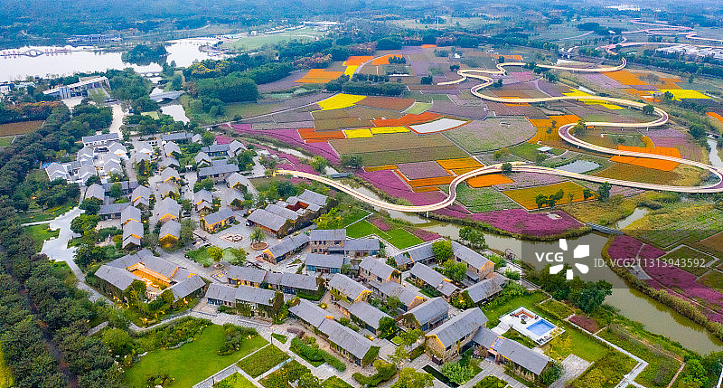 江苏省宿迁市三台山森林公园-衲田花海，空中俯瞰五彩大地图片素材