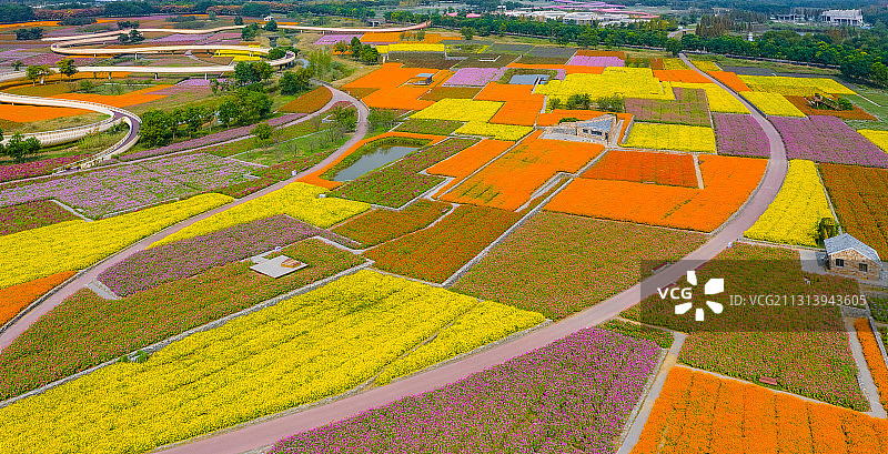 江苏省宿迁市三台山森林公园-衲田花海，空中俯瞰五彩大地图片素材