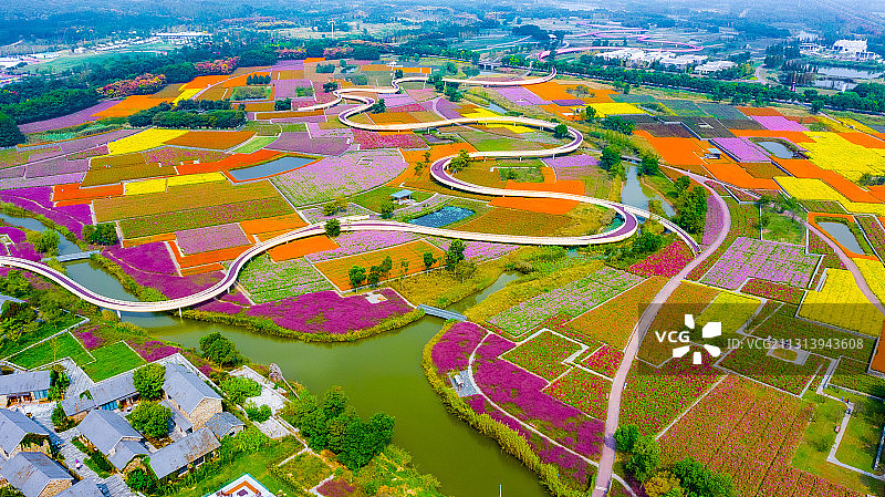 江苏省宿迁市三台山森林公园-衲田花海，空中俯瞰五彩大地图片素材