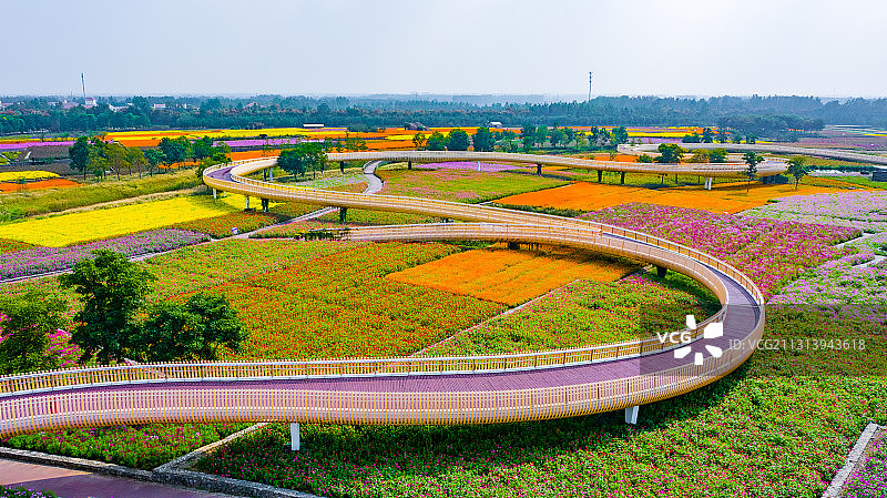 江苏省宿迁市三台山森林公园-衲田花海，空中俯瞰五彩大地图片素材
