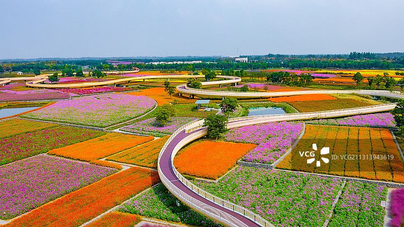 江苏省宿迁市三台山森林公园-衲田花海，空中俯瞰五彩大地图片素材
