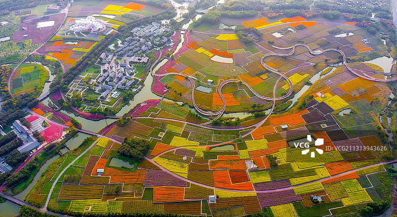 江苏省宿迁市三台山森林公园-衲田花海，空中俯瞰五彩大地图片素材