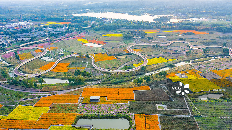 江苏省宿迁市三台山森林公园-衲田花海，空中俯瞰五彩大地图片素材