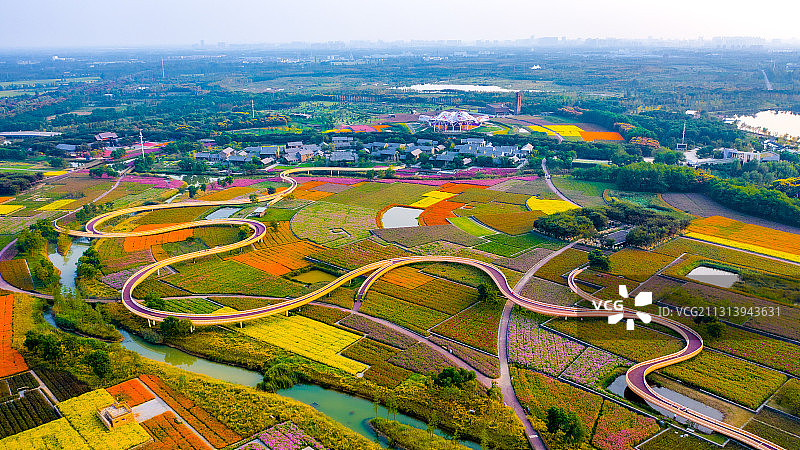 江苏省宿迁市三台山森林公园-衲田花海，空中俯瞰五彩大地图片素材