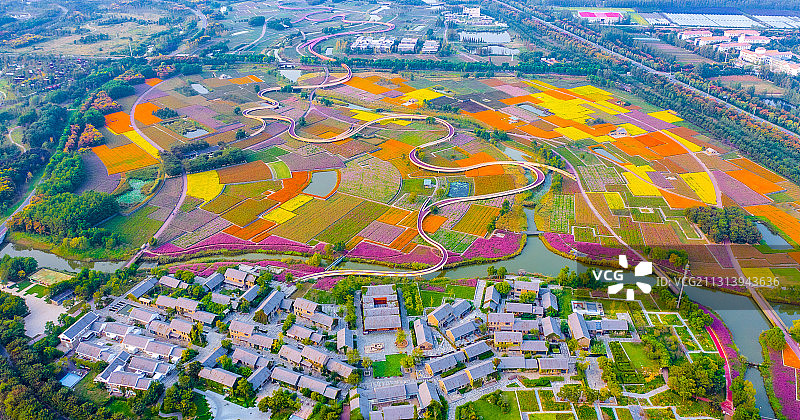 江苏省宿迁市三台山森林公园-衲田花海，空中俯瞰五彩大地图片素材