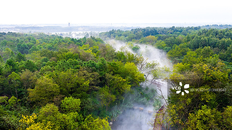 江苏省宿迁市三台山森林公园-衲田花海，空中俯瞰五彩大地图片素材
