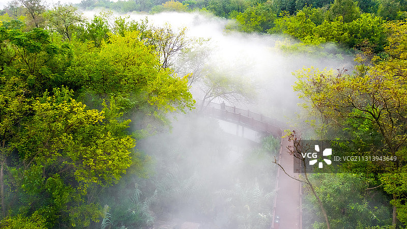 江苏省宿迁市三台山森林公园-衲田花海，空中俯瞰五彩大地图片素材