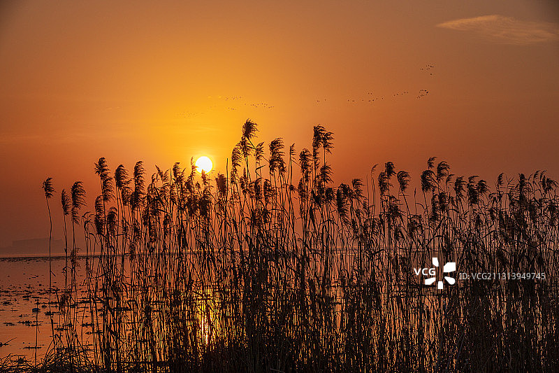 阳澄湖冬日夕阳图片素材