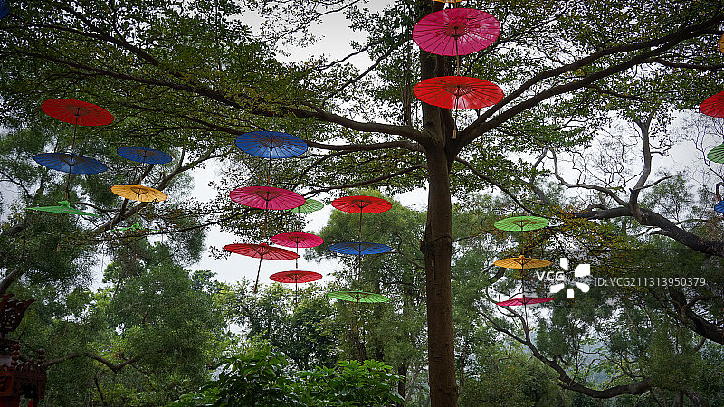珠海圆明园里装饰伞图片素材