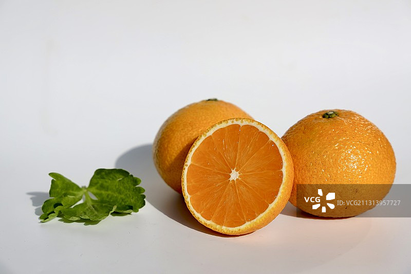 桔柚图片素材