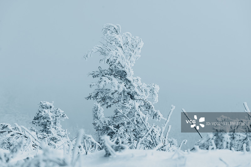 黄柏塬雪景图片素材