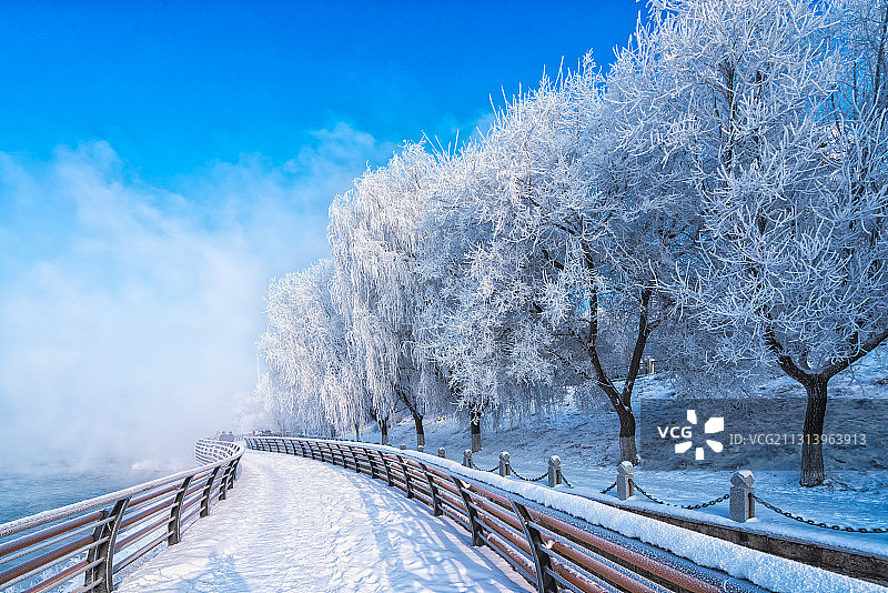 滨江栈道雾凇美图片素材